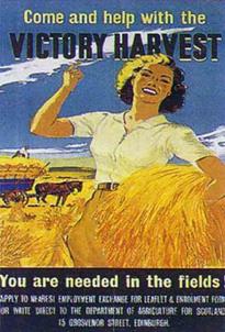 victory-harvestposterlarger